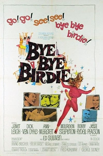 Bye Bye Birdie - Poster