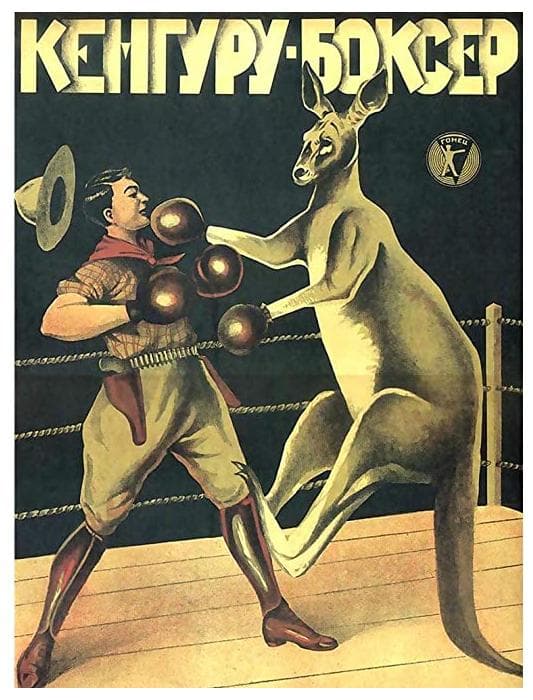 Kangaroo Boxer - Poster