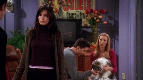 Aquele em que Chandler não gosta de cachorros